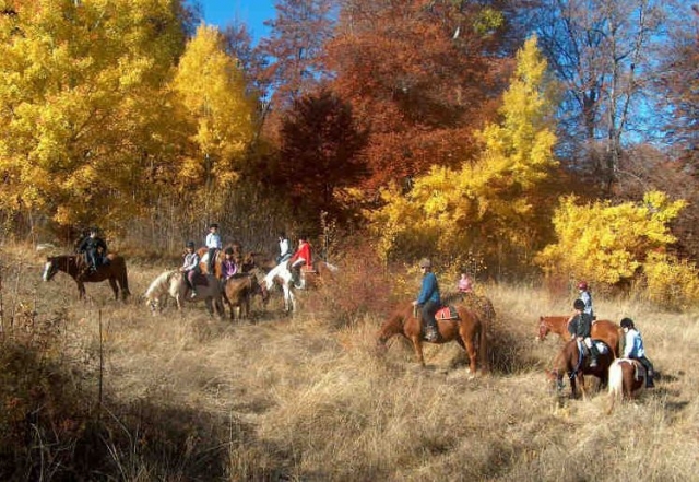  Passeggiate a cavallo nel 05 